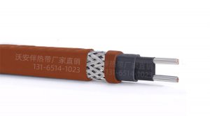 伴熱帶為什么是扁平的呢？有什么好處呢？