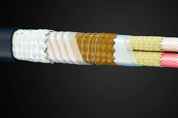 伴熱帶怎么組成的